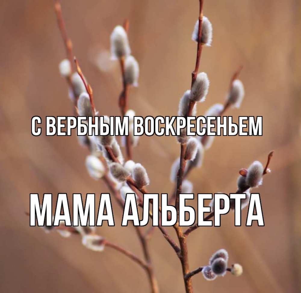 Открытка на каждый день с именем, Мама-Альберта С вербным воскресеньем верба Прикольная открытка с пожеланием онлайн скачать бесплатно 