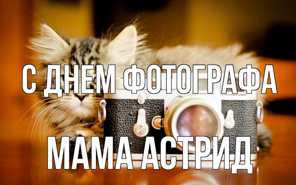 Открытка на каждый день с именем, Мама-Астрид С днем фотографа с днем фотографа Прикольная открытка с пожеланием онлайн скачать бесплатно 