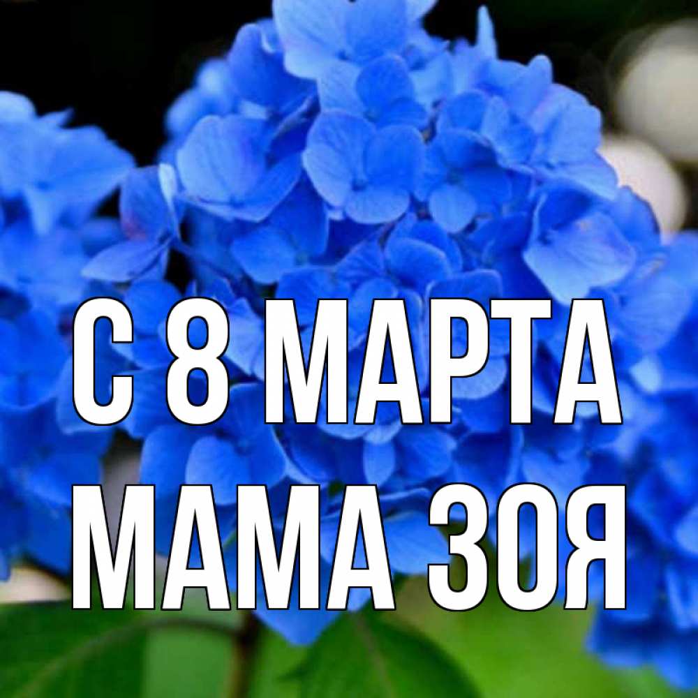 Открытка на каждый день с именем, Мама-Зоя С 8 МАРТА синие цветы Прикольная открытка с пожеланием онлайн скачать бесплатно 