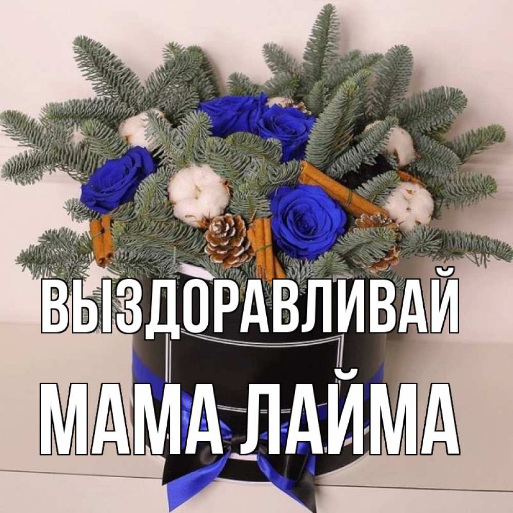Открытка на каждый день с именем, Мама-Лайма Выздоравливай короче кто то загрузил эти шишки Прикольная открытка с пожеланием онлайн скачать бесплатно 