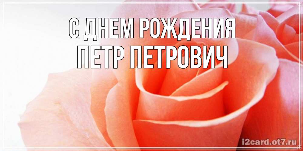 Открытка на каждый день с именем, Петр-Петрович С днем рождения розы для поздравления с днем рождения Прикольная открытка с пожеланием онлайн скачать бесплатно 