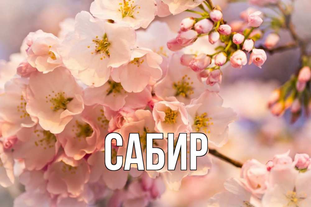 Открытка на каждый день с именем, Сабир Главная С 1 мая Прикольная открытка с пожеланием онлайн скачать бесплатно 