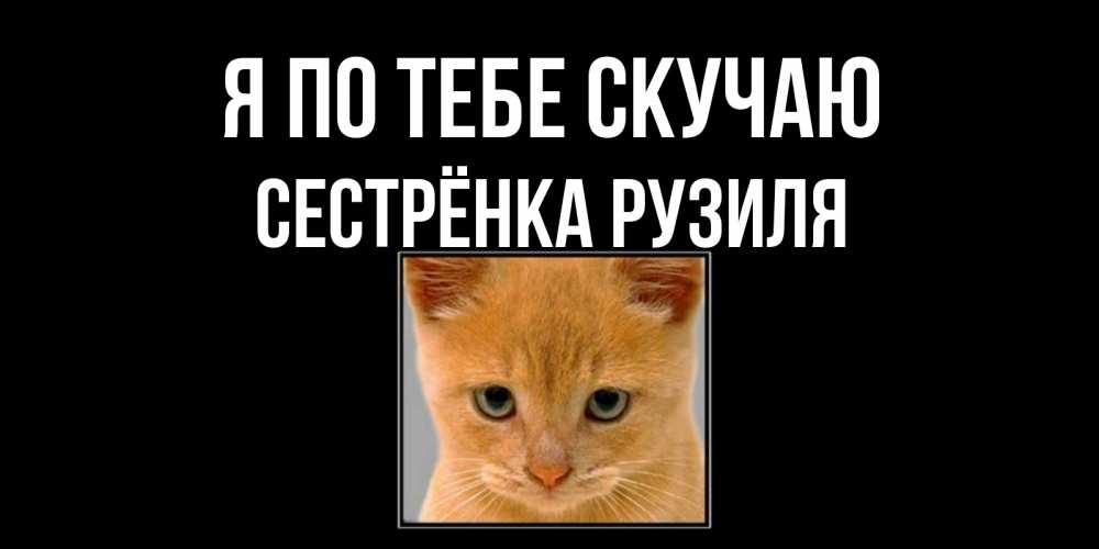 Открытка на каждый день с именем, Сестрёнка-Рузиля Я по тебе скучаю открытки рыжий котенок скучает по тебе Прикольная открытка с пожеланием онлайн скачать бесплатно 