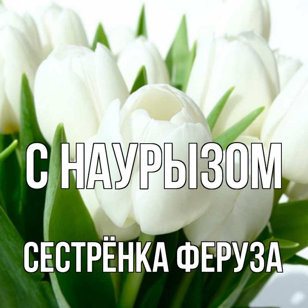 Открытка на каждый день с именем, Сестрёнка-Феруза С наурызом цветы Прикольная открытка с пожеланием онлайн скачать бесплатно 
