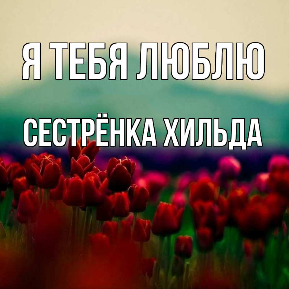 Открытка на каждый день с именем, Сестрёнка-Хильда Я тебя люблю тюльпаны 4 Прикольная открытка с пожеланием онлайн скачать бесплатно 