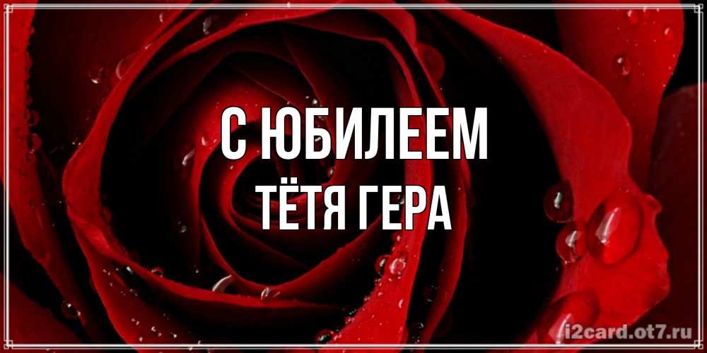 Открытка на каждый день с именем, Тётя-Гера С юбилеем крупная бордовая роза Прикольная открытка с пожеланием онлайн скачать бесплатно 