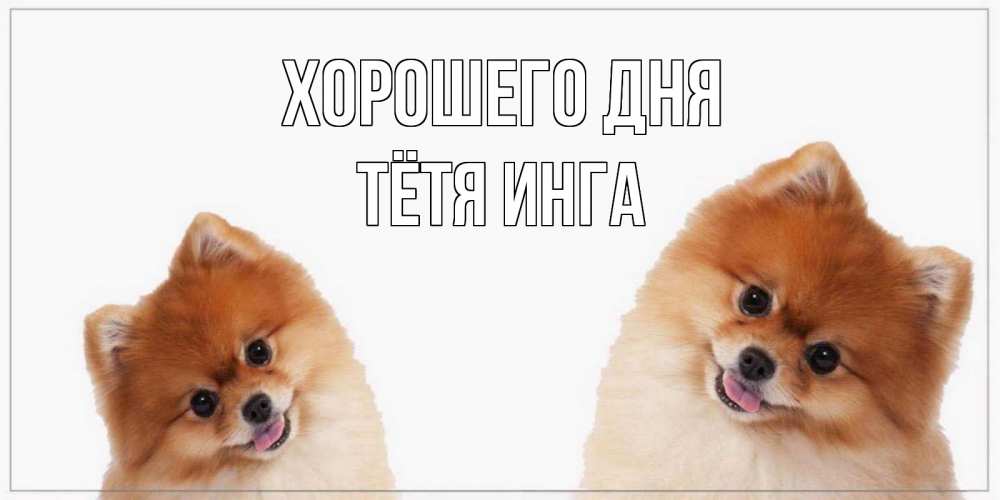 Открытка на каждый день с именем, Тётя-Инга Хорошего дня собачки желают прекрасного дня Прикольная открытка с пожеланием онлайн скачать бесплатно 