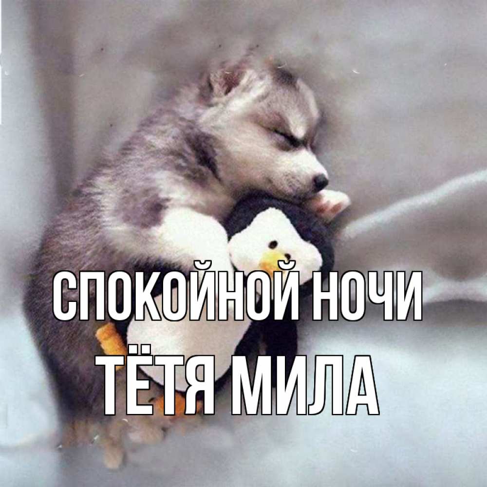 Открытка на каждый день с именем, Тётя-Мила Спокойной ночи обнимашки щенка и пингвина Прикольная открытка с пожеланием онлайн скачать бесплатно 