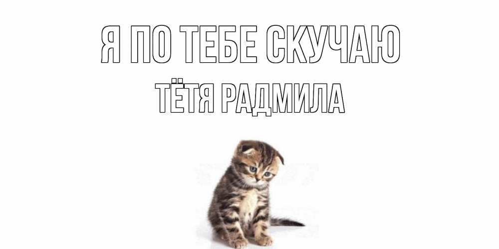 Открытка на каждый день с именем, Тётя-Радмила Я по тебе скучаю кот Прикольная открытка с пожеланием онлайн скачать бесплатно 