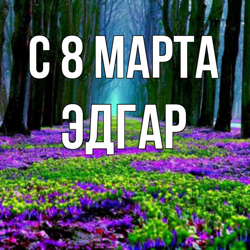 Открытка на каждый день с именем, Эдгар С 8 МАРТА фиолетовые цветы в лесу 1 Прикольная открытка с пожеланием онлайн скачать бесплатно 