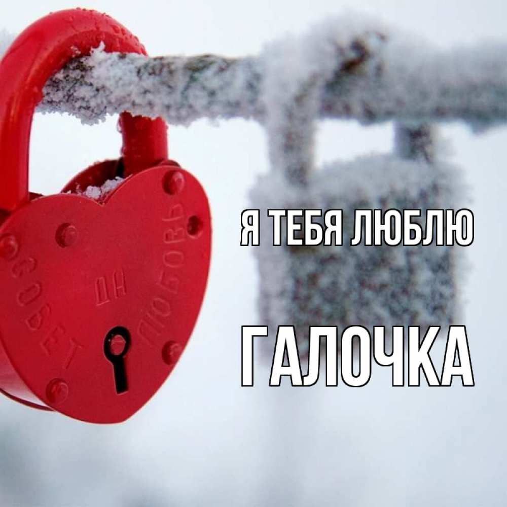 Картинка Я тебя люблю, Галочка