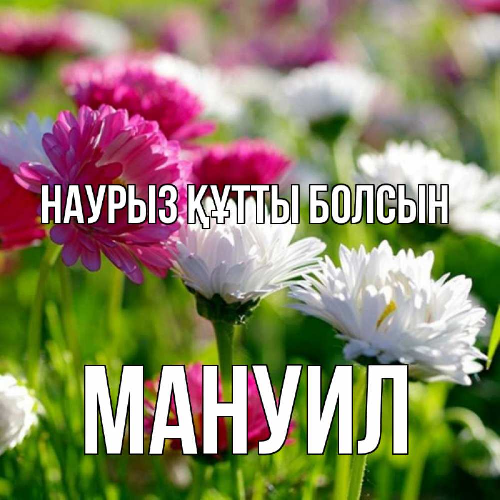 Открытка на каждый день с именем, Мануил Наурыз құтты болсын наурыз Прикольная открытка с пожеланием онлайн скачать бесплатно 