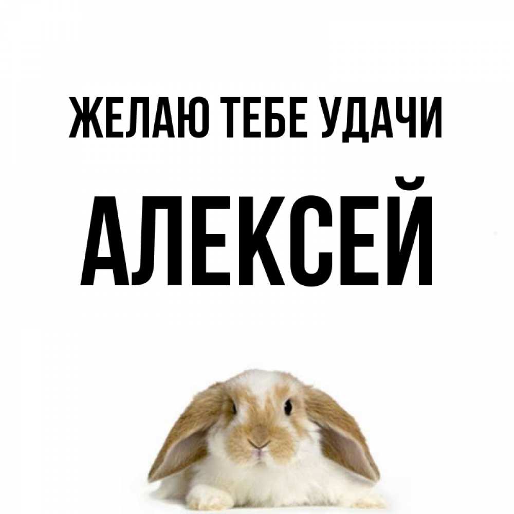 Открытка на каждый день с именем, Алексей Желаю тебе удачи открытки с произвольным текстом который можно вставить в открытку и создать ее самостоятельно бесплатно онлайн Прикольная открытка с пожеланием онлайн скачать бесплатно 