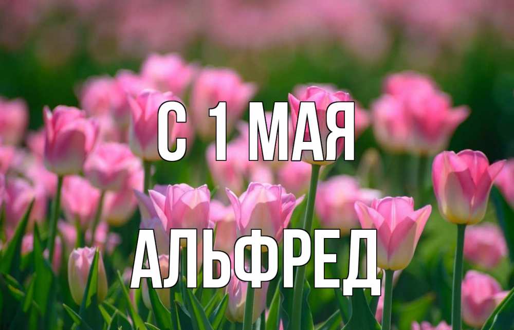 Открытка на каждый день с именем, Альфред С 1 мая С 1 мая Прикольная открытка с пожеланием онлайн скачать бесплатно 