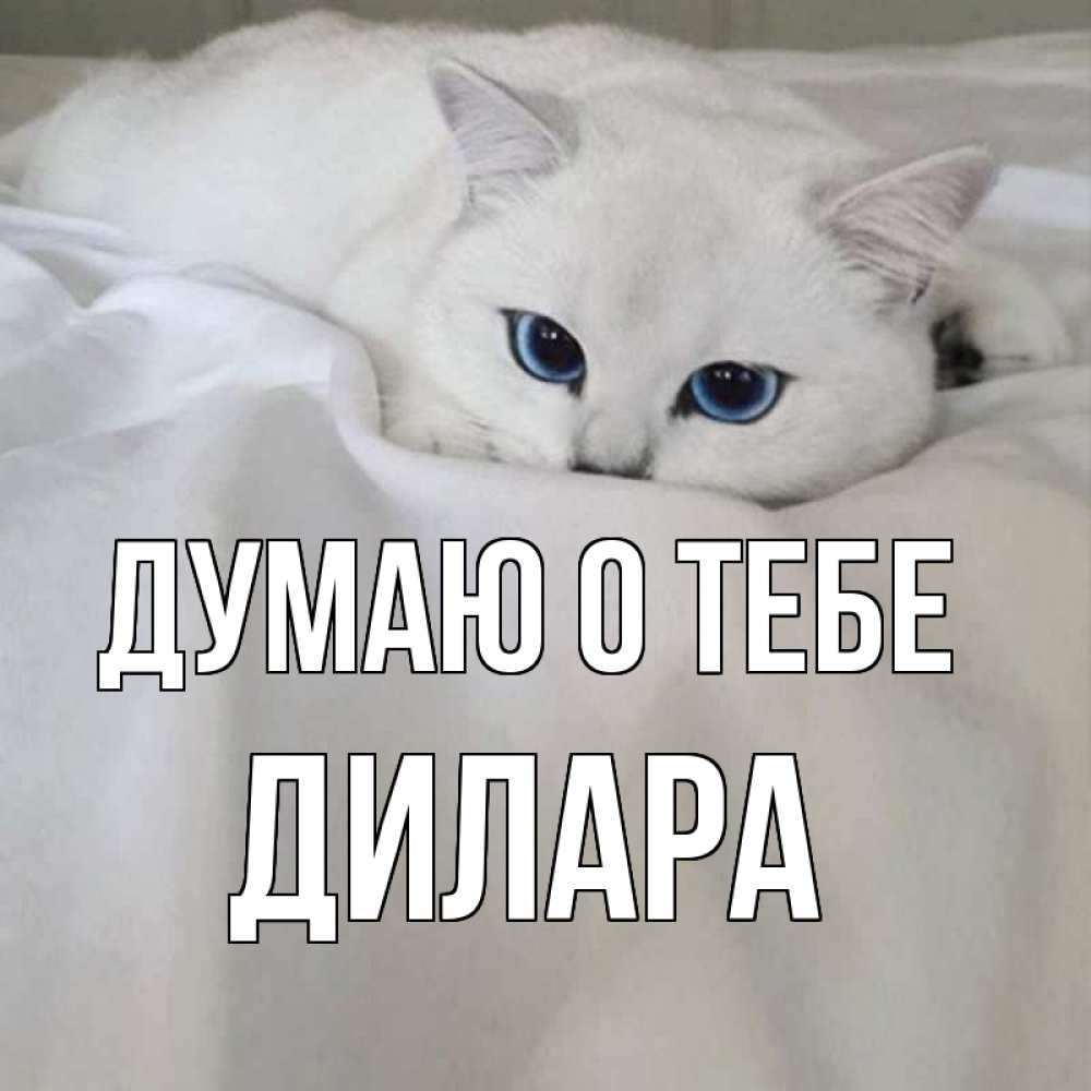 Открытка на каждый день с именем, Дилара Думаю о тебе я очень по тебе скучаю и тоскую Прикольная открытка с пожеланием онлайн скачать бесплатно 