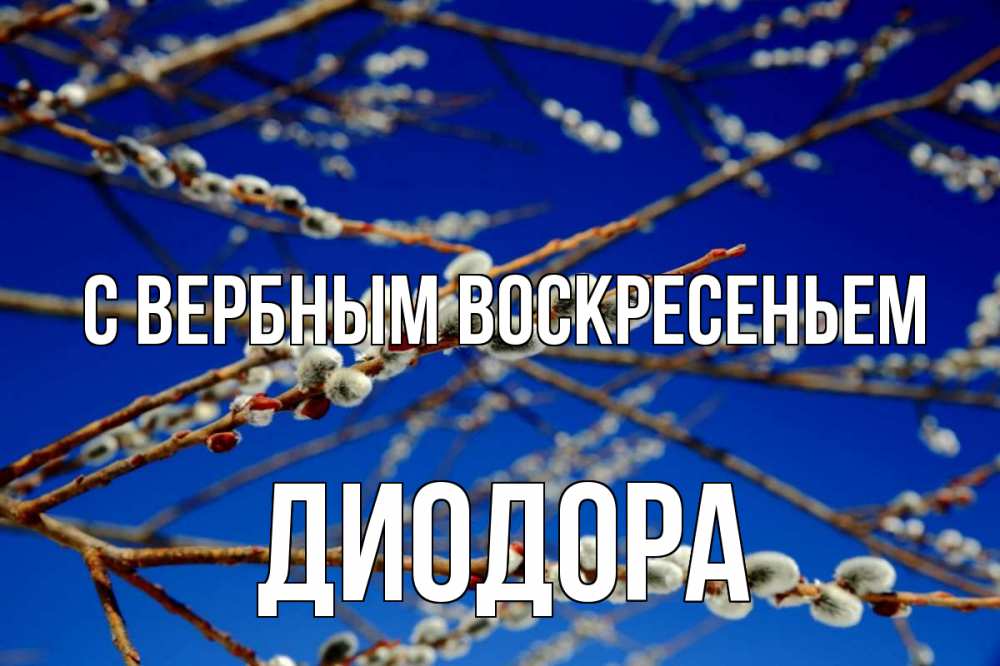 Открытка на каждый день с именем, Диодора С вербным воскресеньем верба Прикольная открытка с пожеланием онлайн скачать бесплатно 