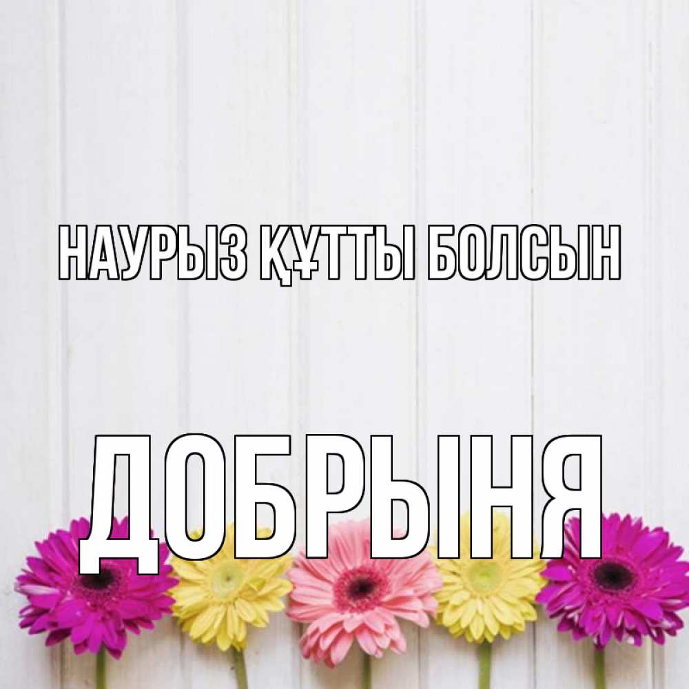 Открытка на каждый день с именем, Добрыня Наурыз құтты болсын женщинам 1 Прикольная открытка с пожеланием онлайн скачать бесплатно 