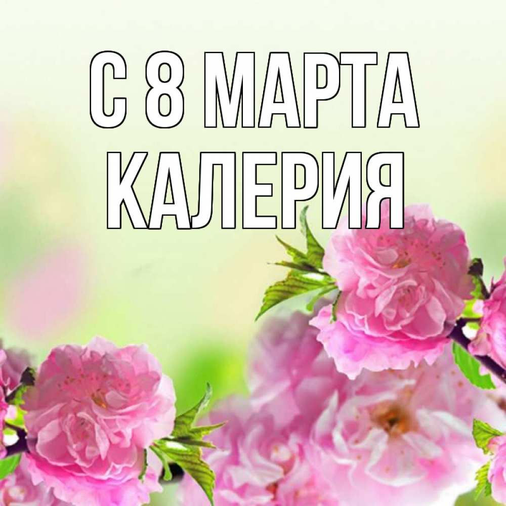 Открытка на каждый день с именем, Калерия С 8 МАРТА цветы Прикольная открытка с пожеланием онлайн скачать бесплатно 