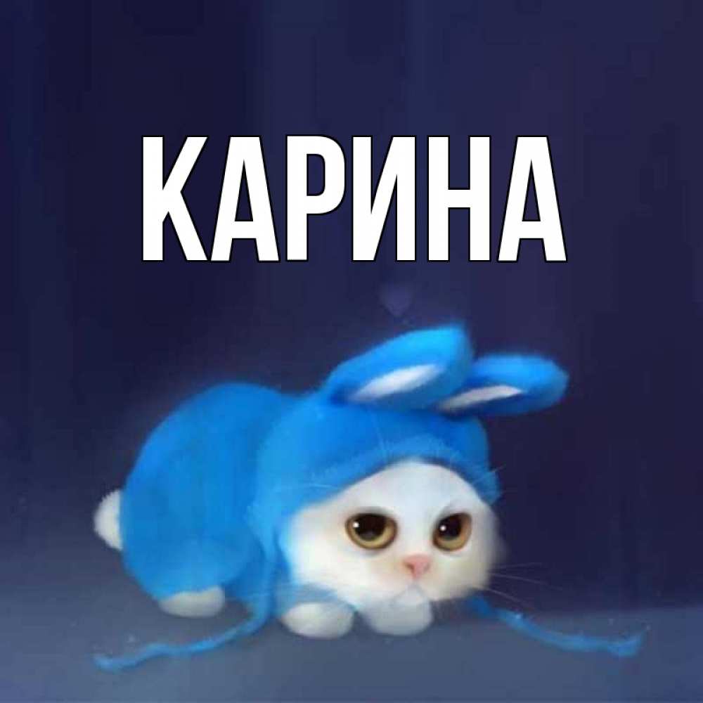 Открытка на каждый день с именем, Карина Главная невинный котозай просит прощения Прикольная открытка с пожеланием онлайн скачать бесплатно 