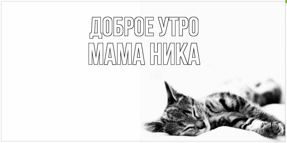 Открытка на каждый день с именем, Мама-Ника Доброе утро котуся Прикольная открытка с пожеланием онлайн скачать бесплатно 