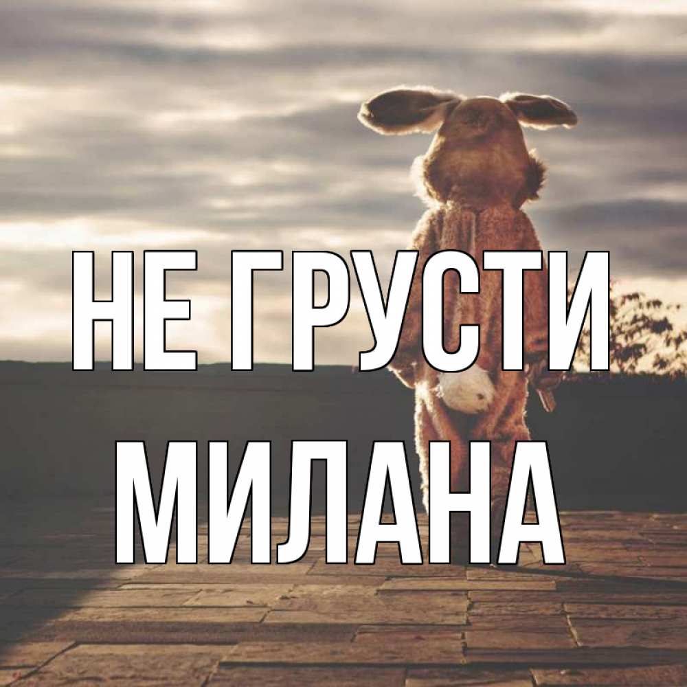 Открытка на каждый день с именем, Милана Не грусти со спины Прикольная открытка с пожеланием онлайн скачать бесплатно 