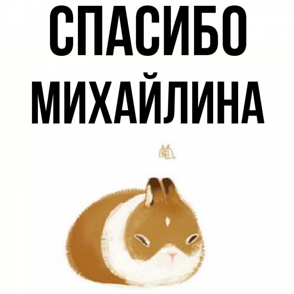 Открытка на каждый день с именем, Михайлина Спасибо коричнево белый домашний питомец Прикольная открытка с пожеланием онлайн скачать бесплатно 