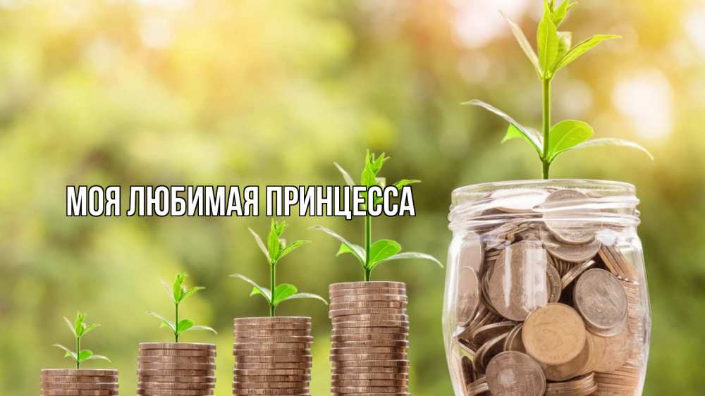 Открытка на каждый день с именем, Моя-Любимая-Принцесса Главная с днем бухгалтера Прикольная открытка с пожеланием онлайн скачать бесплатно 