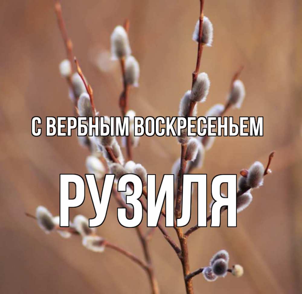 Открытка на каждый день с именем, Рузиля С вербным воскресеньем верба Прикольная открытка с пожеланием онлайн скачать бесплатно 