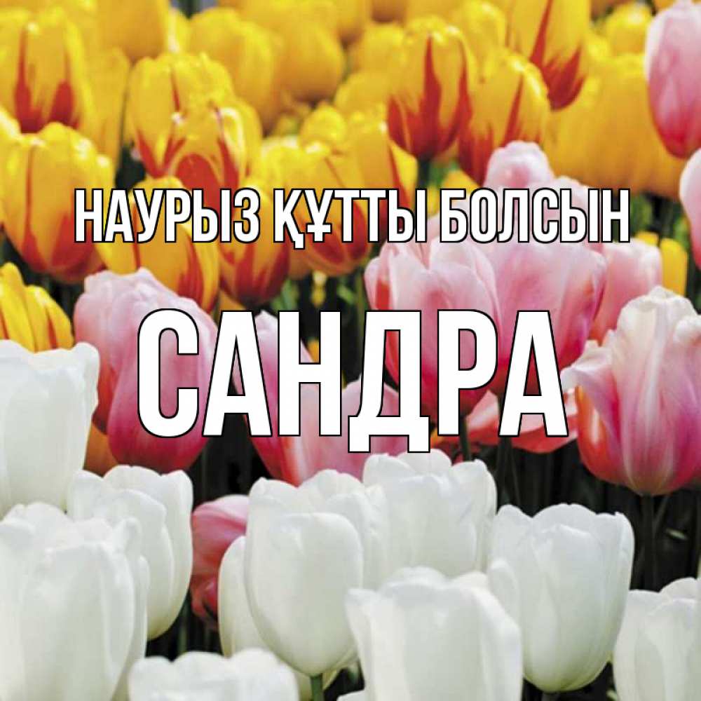 Открытка на каждый день с именем, Сандра Наурыз құтты болсын разноцветные цветы Прикольная открытка с пожеланием онлайн скачать бесплатно 