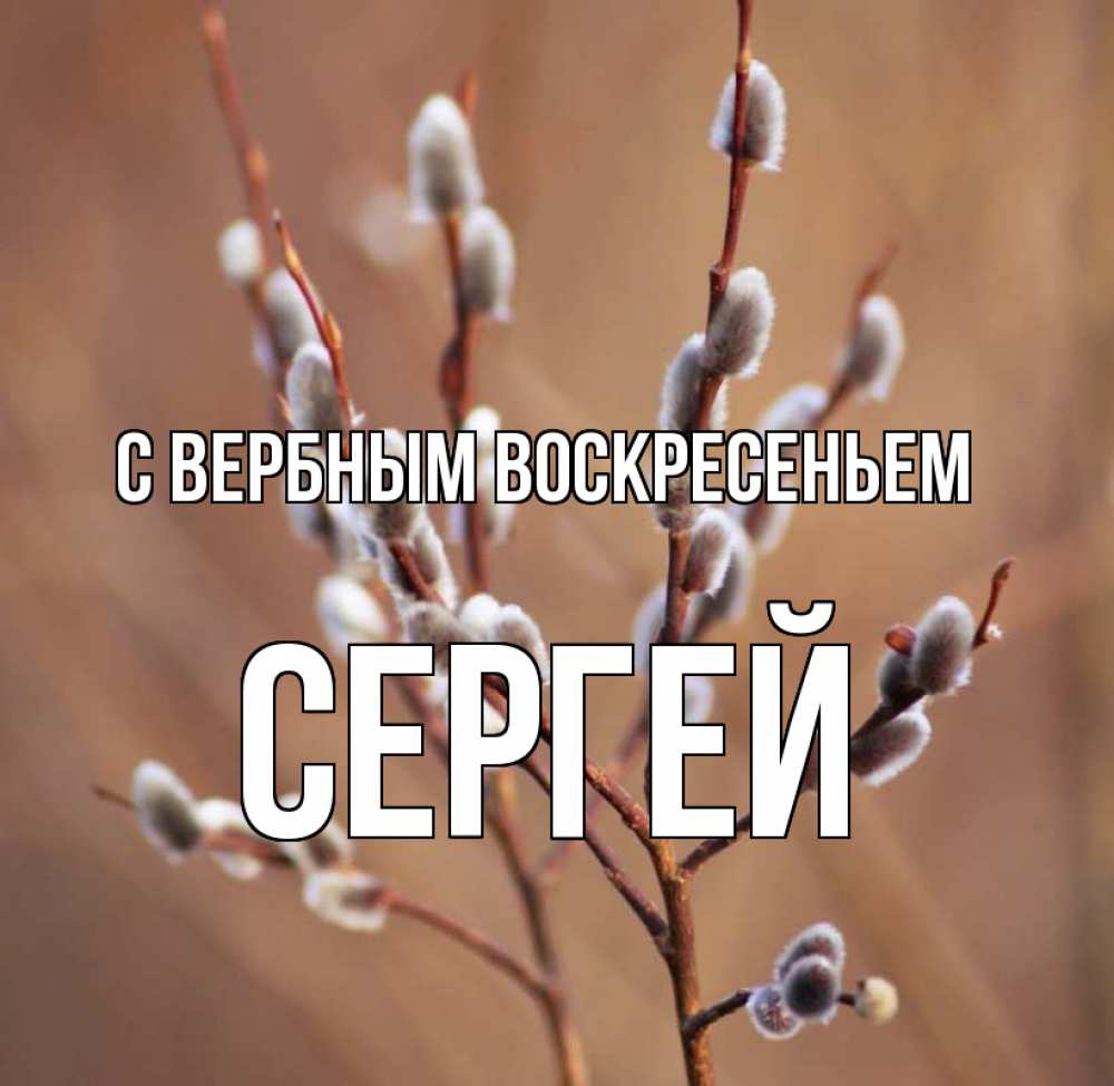 Открытка на каждый день с именем, Сергей С вербным воскресеньем верба Прикольная открытка с пожеланием онлайн скачать бесплатно 