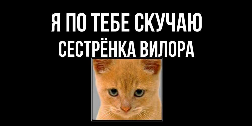 Открытка на каждый день с именем, Сестрёнка-Вилора Я по тебе скучаю открытки рыжий котенок скучает по тебе Прикольная открытка с пожеланием онлайн скачать бесплатно 