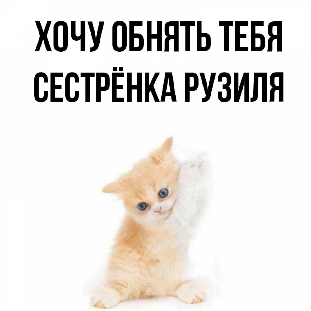 Открытка на каждый день с именем, Сестрёнка-Рузиля Хочу обнять тебя я хочу очень скорее обнимаешек Прикольная открытка с пожеланием онлайн скачать бесплатно 