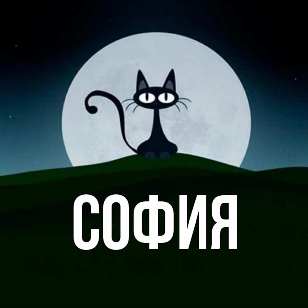 Открытка на каждый день с именем, София Главная хорошо выспаться ночью и без кошмаров Прикольная открытка с пожеланием онлайн скачать бесплатно 
