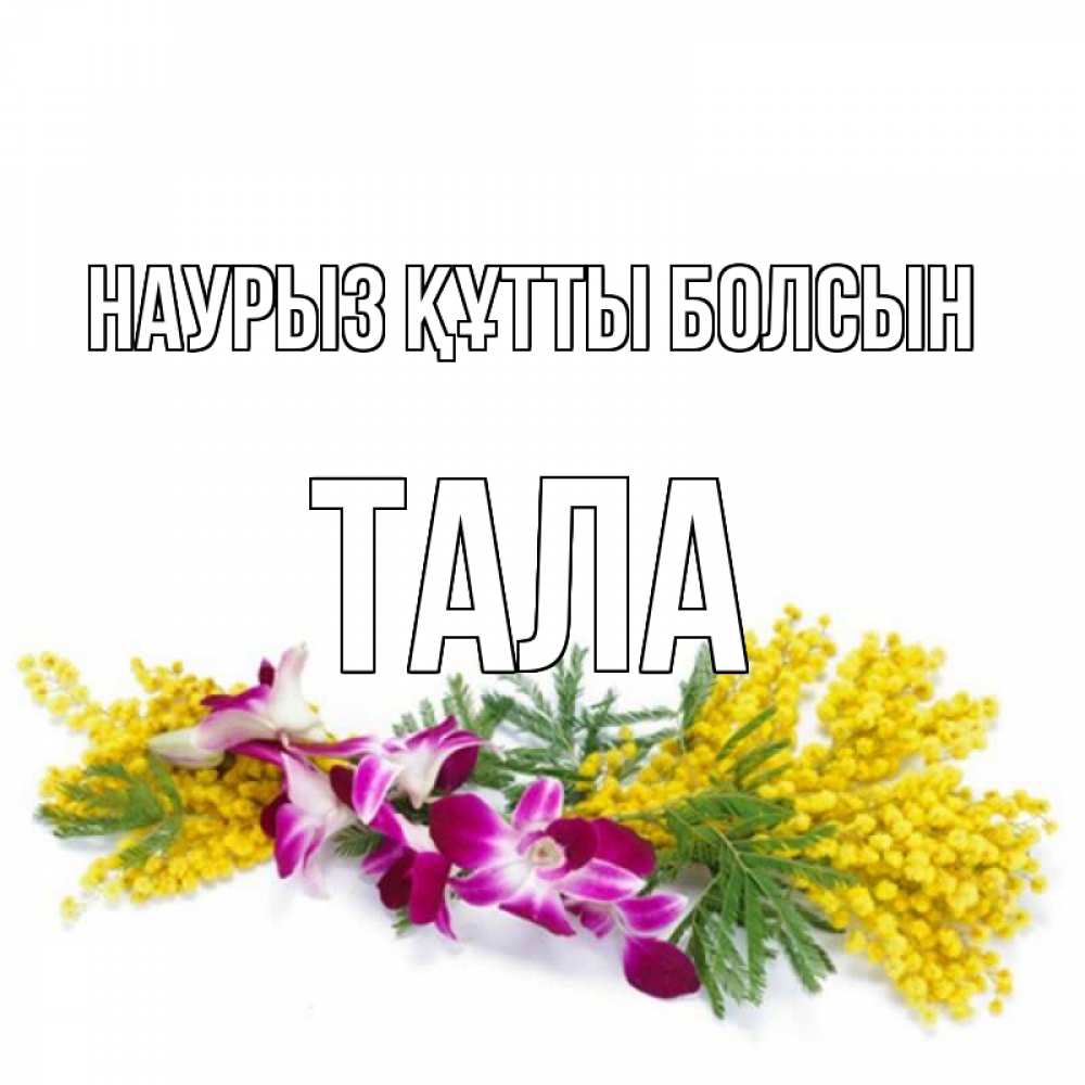 Открытка на каждый день с именем, Тала Наурыз құтты болсын открытка  наурыз с цветами  1 Прикольная открытка с пожеланием онлайн скачать бесплатно 