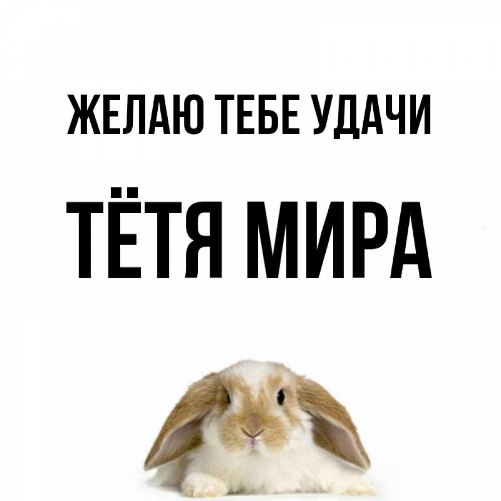 Открытка на каждый день с именем, Тётя-Мира Желаю тебе удачи открытки с произвольным текстом который можно вставить в открытку и создать ее самостоятельно бесплатно онлайн Прикольная открытка с пожеланием онлайн скачать бесплатно 