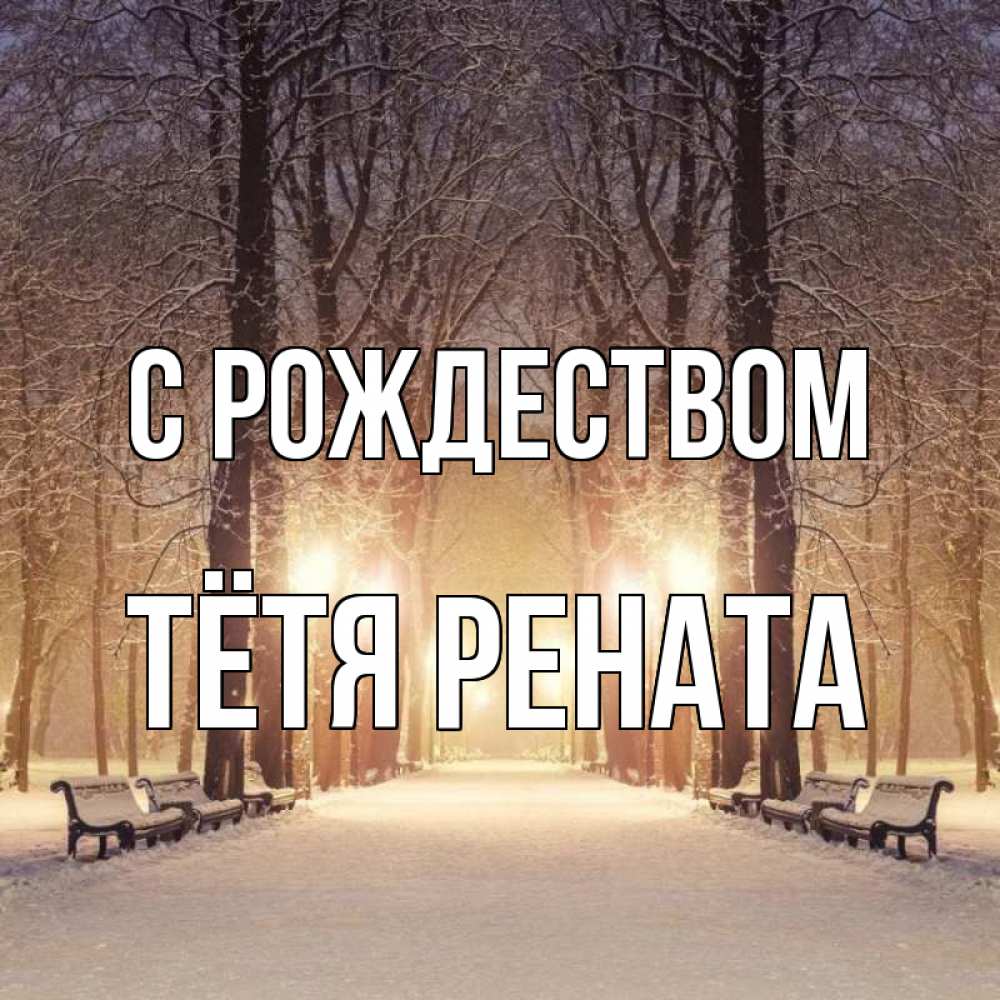 Открытка на каждый день с именем, Тётя-Рената С рождеством зима, парк, фонарь, лес Прикольная открытка с пожеланием онлайн скачать бесплатно 