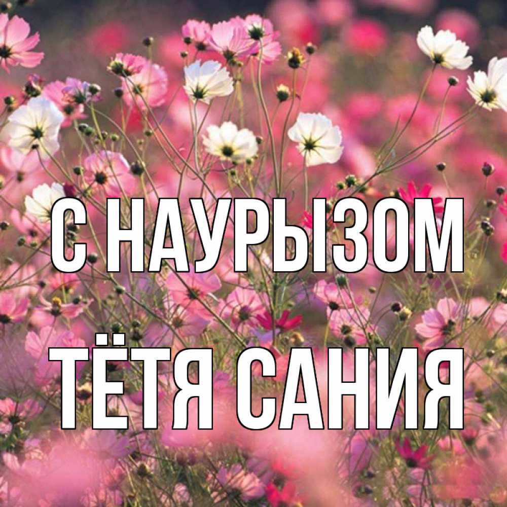 Открытка на каждый день с именем, Тётя-Сания С наурызом красиво 1 Прикольная открытка с пожеланием онлайн скачать бесплатно 