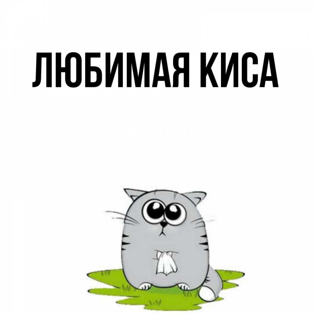 Текст песни киса киса песиком. Любимая киса. Киса моя любимая. Люблю кису. Открытки с кисами.