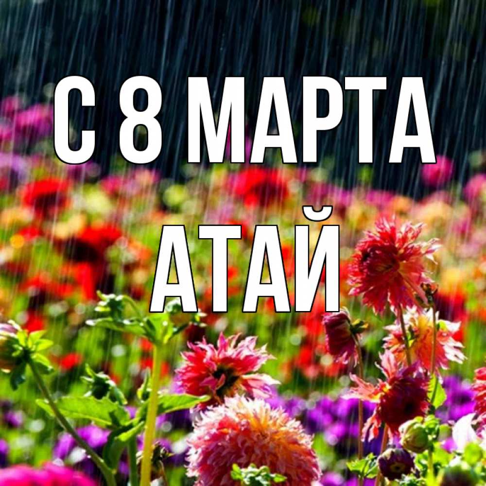 Открытка на каждый день с именем, Атай С 8 марта цветы под дождиком к международному женскому дню Прикольная открытка с пожеланием онлайн скачать бесплатно 