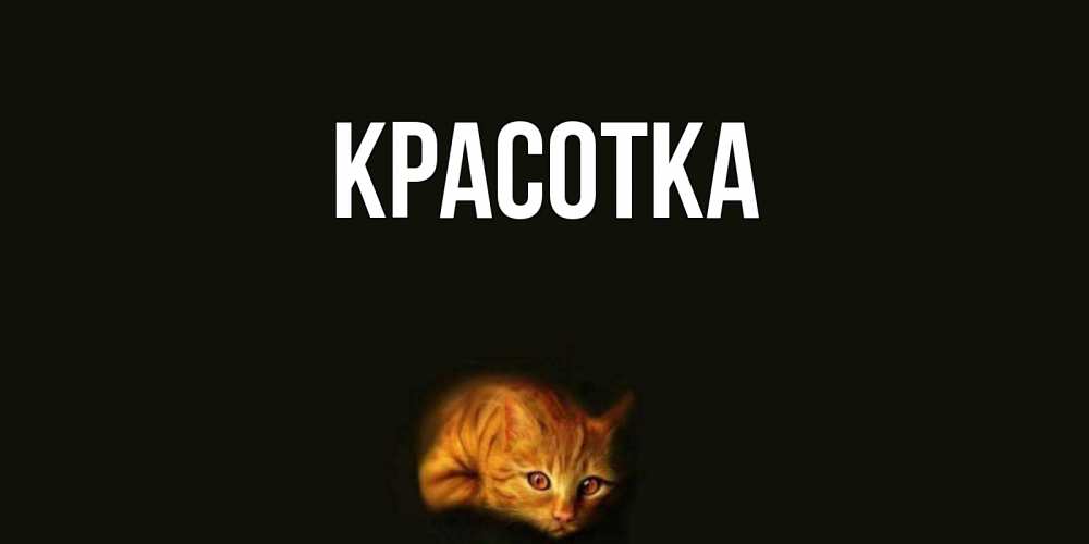 Открытка на каждый день с именем, красотка Главная кот Прикольная открытка с пожеланием онлайн скачать бесплатно 