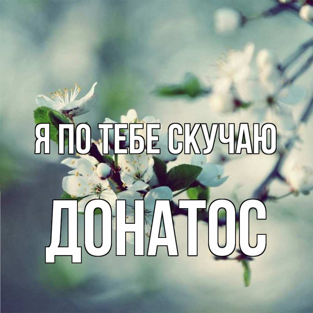 Открытка на каждый день с именем, Донатос Я по тебе скучаю весна Прикольная открытка с пожеланием онлайн скачать бесплатно 