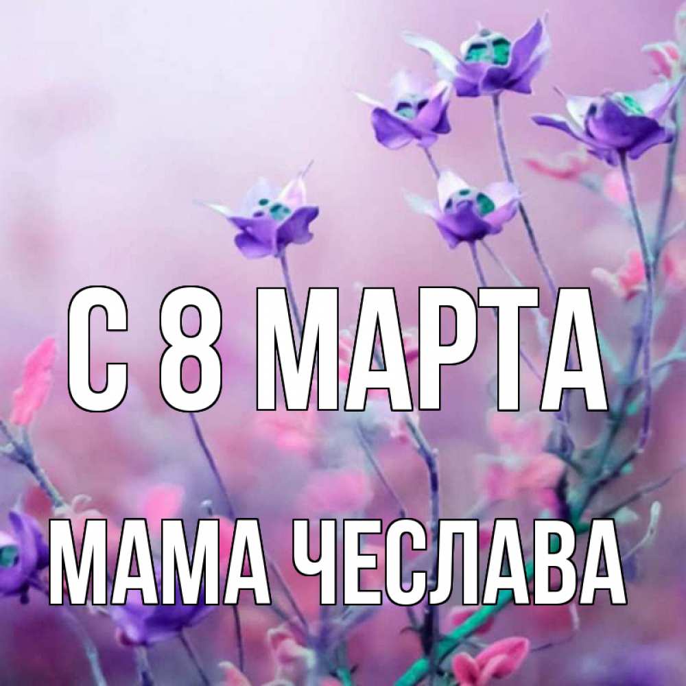 Открытка на каждый день с именем, Мама-Чеслава С 8 МАРТА международный женский день 2 Прикольная открытка с пожеланием онлайн скачать бесплатно 