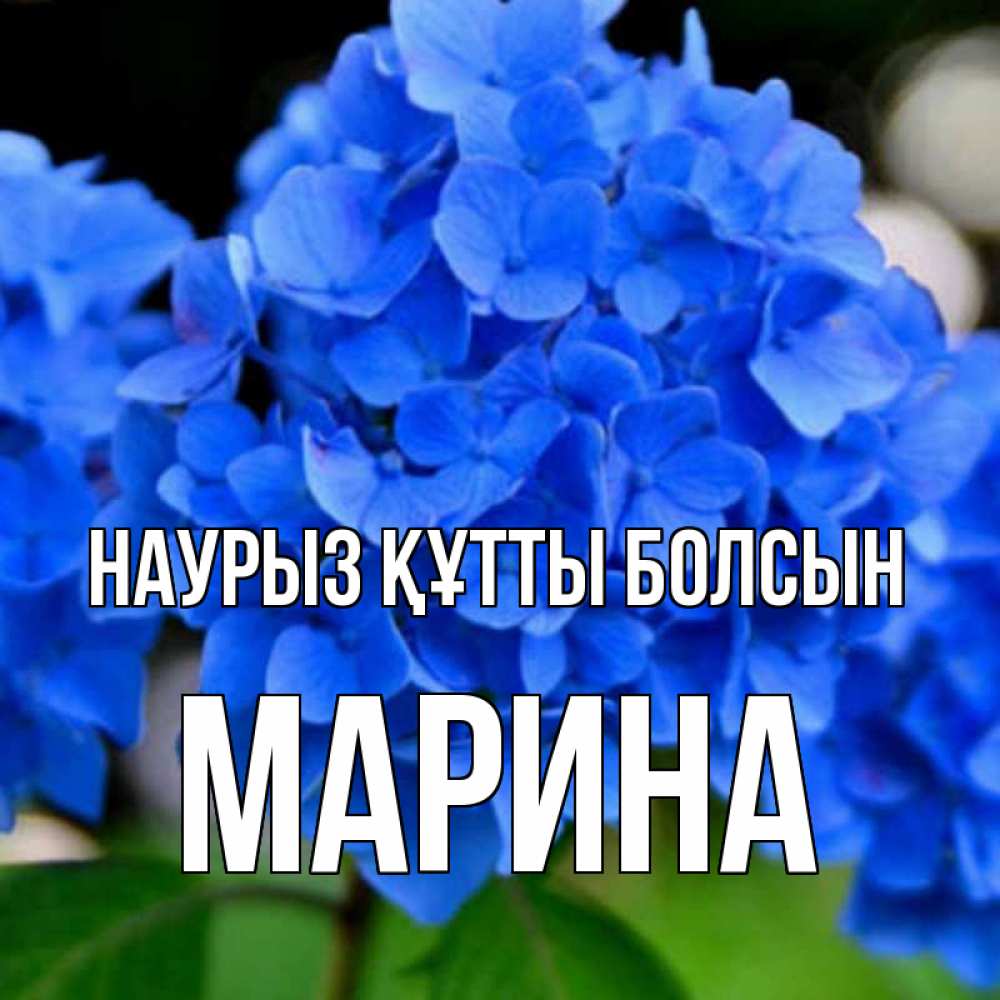 Открытка на каждый день с именем, Марина Наурыз құтты болсын синие цветы Прикольная открытка с пожеланием онлайн скачать бесплатно 