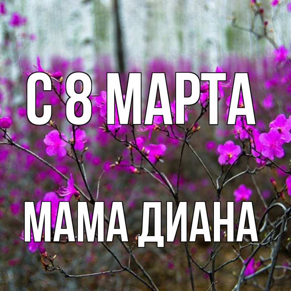 Открытка на каждый день с именем, Мама-Диана С 8 марта дикие цветы Прикольная открытка с пожеланием онлайн скачать бесплатно 