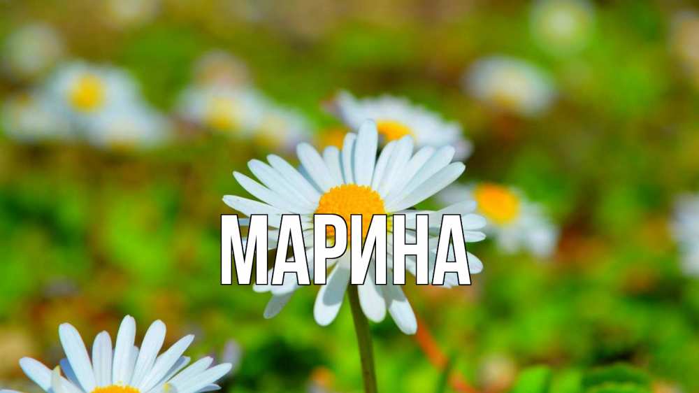 Открытка на каждый день с именем, Марина Главная с днем семьи Прикольная открытка с пожеланием онлайн скачать бесплатно 