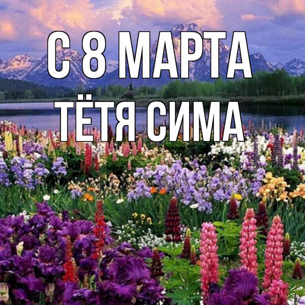 Открытка на каждый день с именем, Тётя-Сима С 8 марта международный женский день Прикольная открытка с пожеланием онлайн скачать бесплатно 