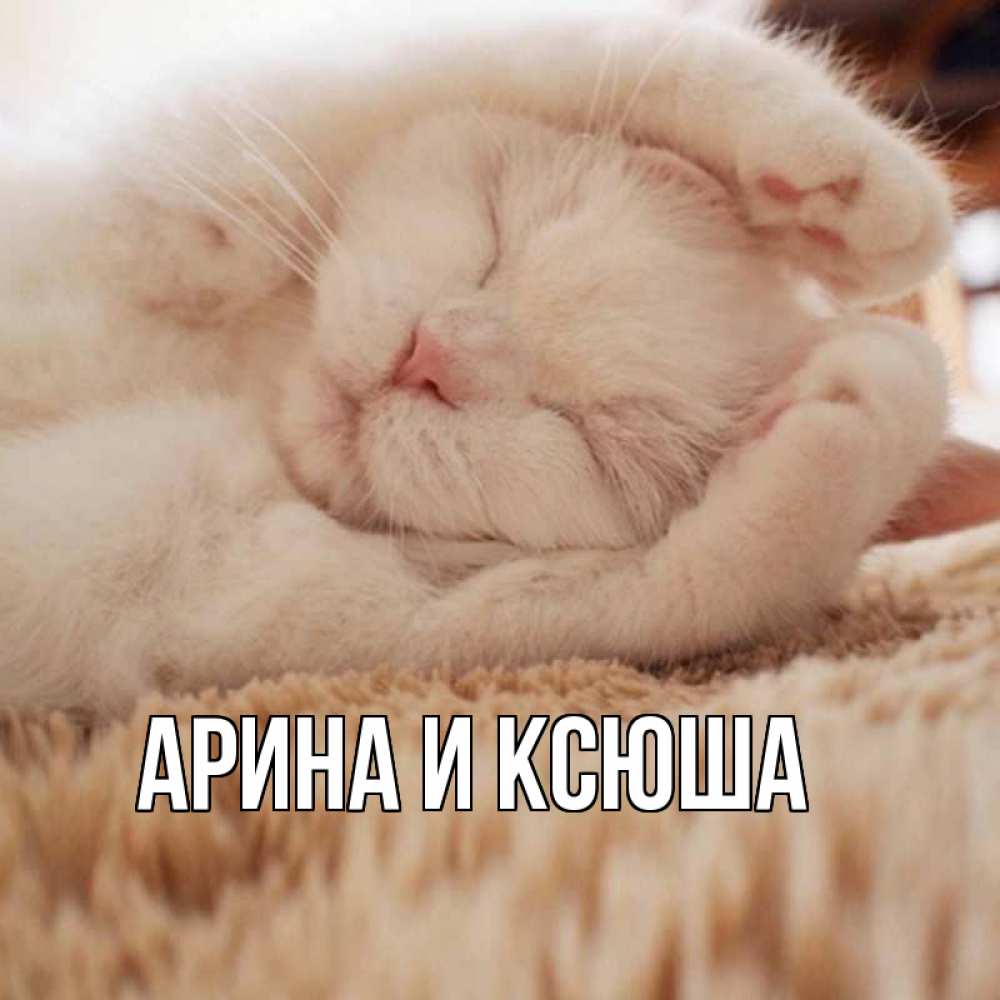 Открытка на каждый день с именем, Арина-и-Ксюша Главная для любимой девушки милота Прикольная открытка с пожеланием онлайн скачать бесплатно 