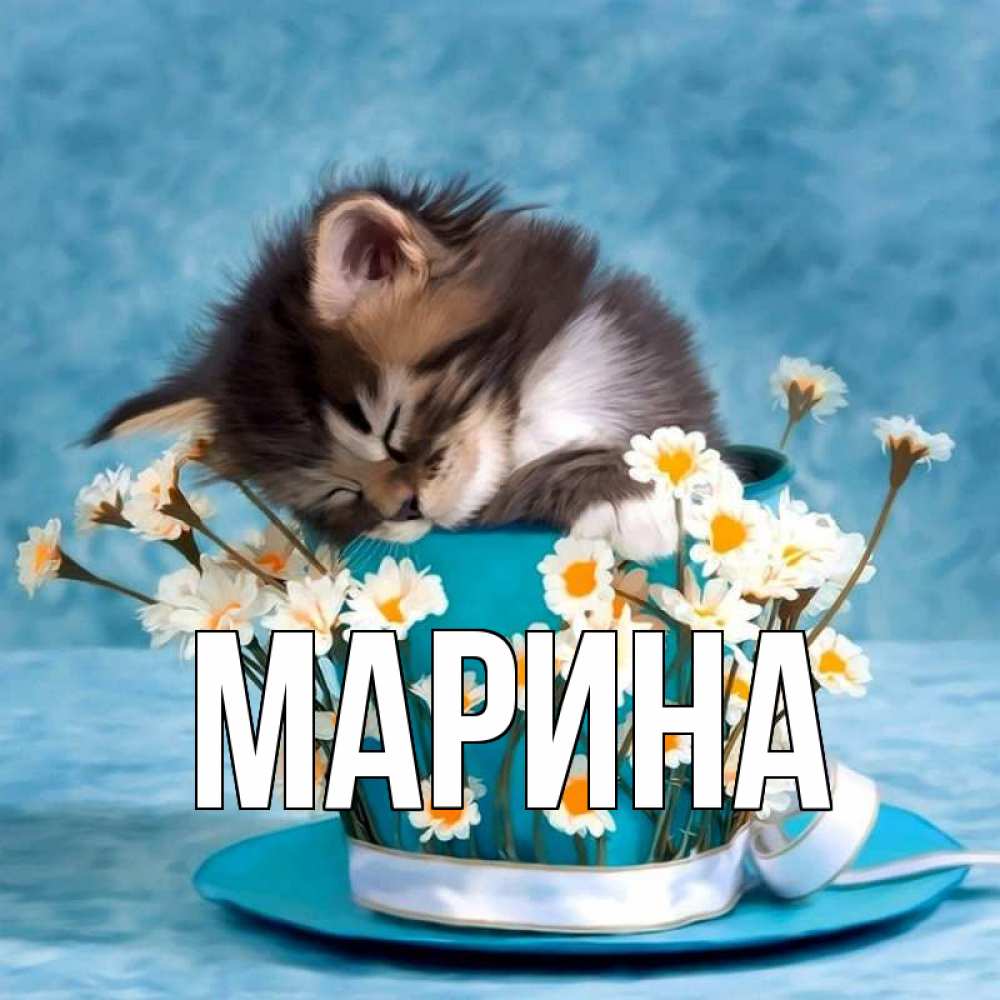 Открытка на каждый день с именем, Марина Главная котенок спит в кружке с блюдцем Прикольная открытка с пожеланием онлайн скачать бесплатно 