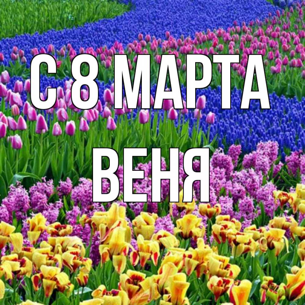 Открытка на каждый день с именем, Веня С 8 марта цветы Прикольная открытка с пожеланием онлайн скачать бесплатно 