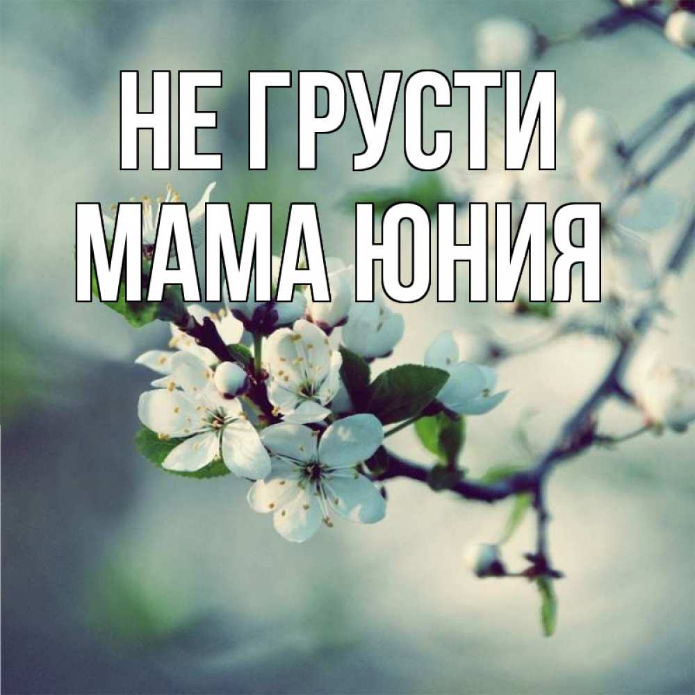 Открытка на каждый день с именем, Мама-Юния Не грусти яблоня в цвету 1 Прикольная открытка с пожеланием онлайн скачать бесплатно 